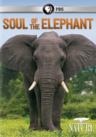 Soul_of_the_elephant