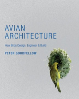 Avian_architecture