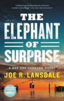 The_elephant_of_surprise