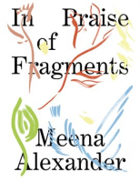 In_Praise_of_Fragments