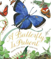 A_butterfly_is_patient