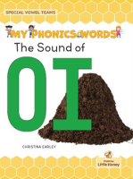 The_Sound_of_OI
