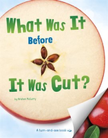 What_Was_It_Before_It_Was_Cut_