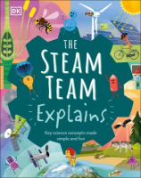 The_steam_team_explains