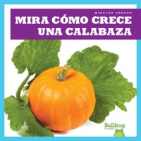 Mira_c__mo_crece_una_calabaza__Watch_a_Pumpkin_Grow_