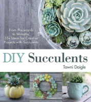 DIY_succulents