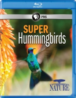 Super_hummingbirds