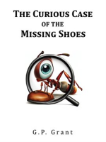 The_Curious_Case_of_the_Missing_Shoes