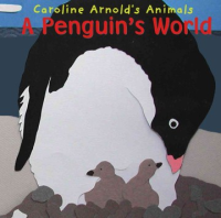 A_penguin_s_world