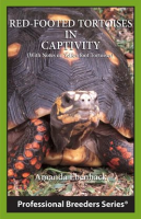 Red-footed_Tortoises_in_Captivity