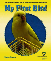 My_first_bird