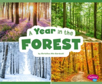 A_year_in_the_forest