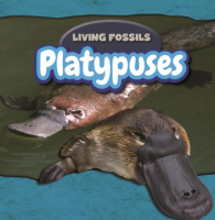 Platypuses