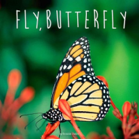 Fly__butterfly