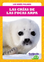 Las_cr__as_de_las_focas_arpa__Harp_Seal_Pups_