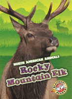 Rocky_Mountain_Elk