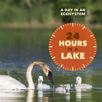 24_Hours_in_a_Lake