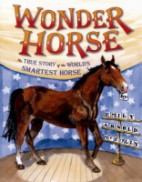 Wonder_horse