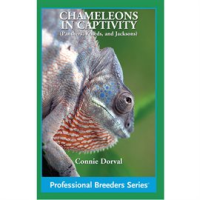 Chameleons_in_Captivity
