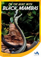 On_the_Hunt_with_Black_Mambas