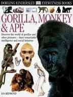 Gorilla__monkey___ape