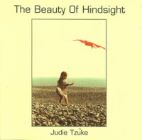 The_Beauty_Of_Hindsight_-_Vol__1
