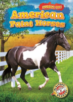 American_Paint_Horses