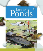 Life_in_Ponds