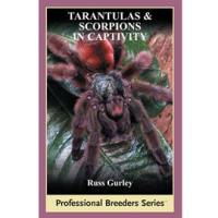 Tarantulas_and_Scorpions_in_Captivity