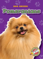 Pomeranians