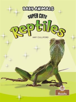 Super_Cute_Reptiles