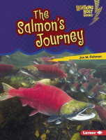 The_Salmon_s_Journey