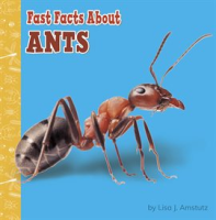 Fast_Facts_About_Ants