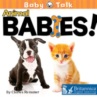 Animal_Babies_