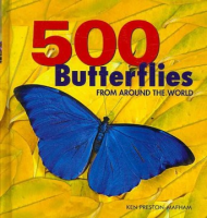 500_butterflies