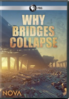 Why_bridges_collapse