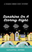 Sunshine_on_a_Stormy_Night