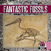 Fantastic_fossils