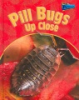Pill_bugs_up_close