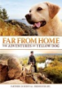 Far_from_home