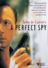 A_perfect_spy