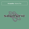 Soulfuric_Accapellas__Vol__2