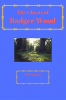 The_Ghosts_of_Badger_Wood