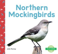 Northern_Mockingbirds