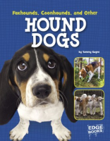 Foxhounds__Coonhounds__and_other_hound_dogs