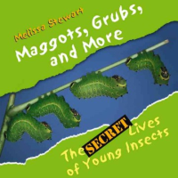 Maggots__grubs__and_more
