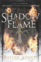 Shadow___flame