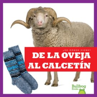 De_la_oveja_al_calcet__n__From_Sheep_to_Sock_