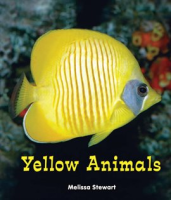 Yellow_Animals