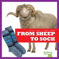 From_Sheep_to_Sock